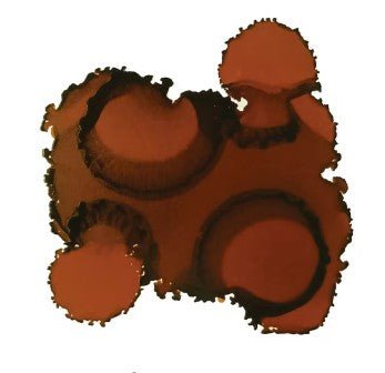 Pinata Alcohol Ink 14ml - Kit & Co.Polymer ClayBurro Brown