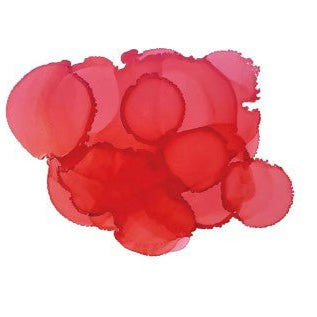 Pinata Alcohol Ink 14ml - Kit & Co.Polymer ClayCoral