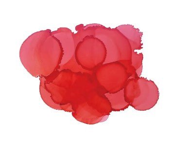 Pinata Alcohol Ink 14ml - Kit & Co.Polymer ClayCoral