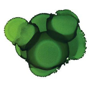 Pinata Alcohol Ink 14ml - Kit & Co.Polymer ClayLime Green
