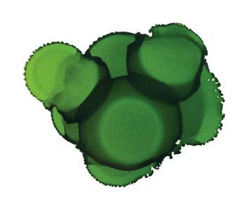 Pinata Alcohol Ink 14ml - Kit & Co.Polymer ClayLime Green