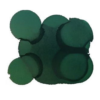Pinata Alcohol Ink 14ml - Kit & Co.Polymer ClayRainforest Green
