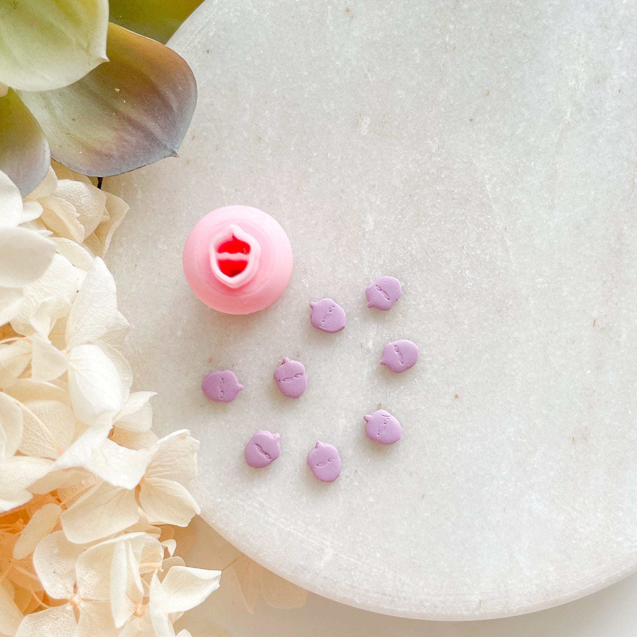 kitandco.com.au Cutter Acorn - Micro Cutter