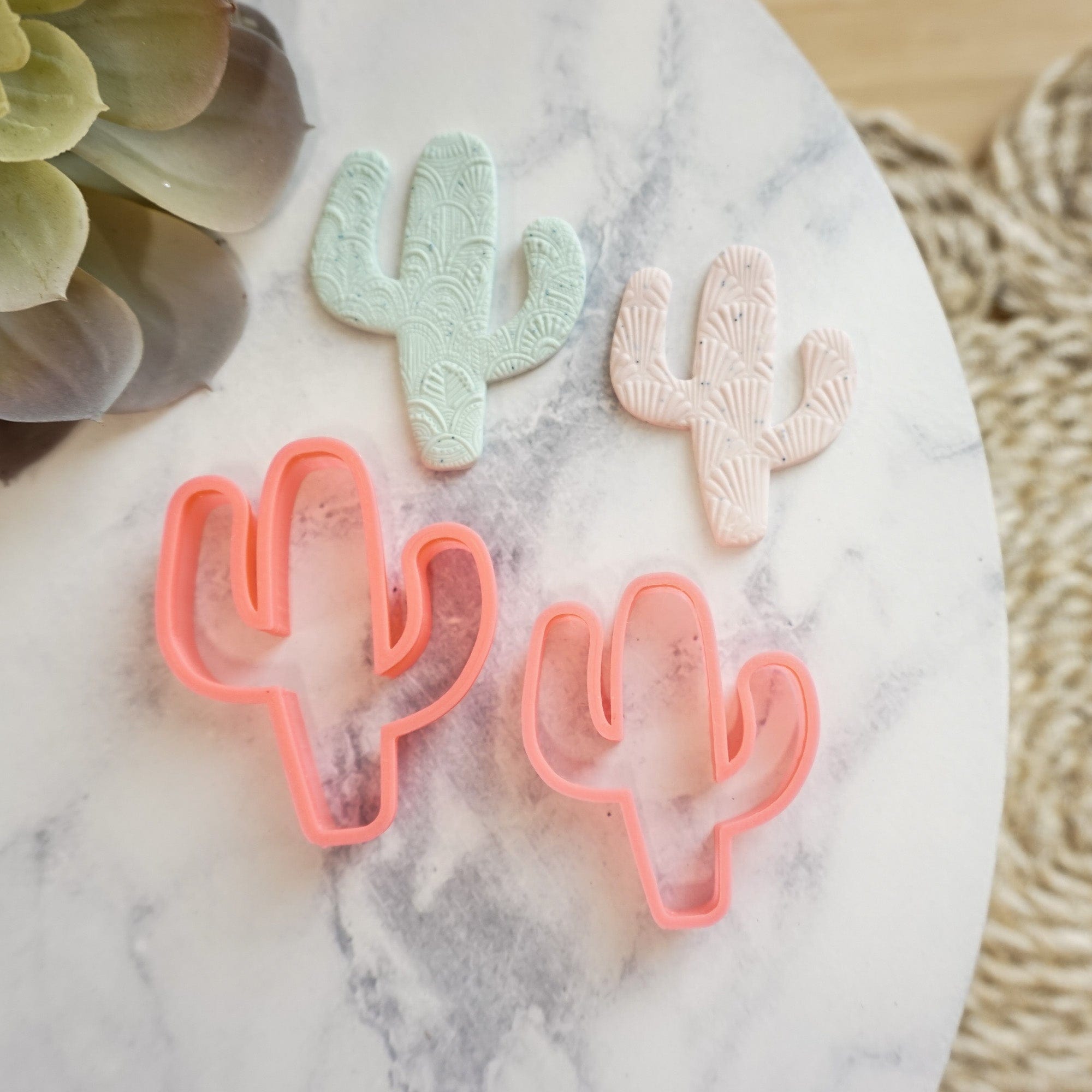 kitandco.com.au Cutter Cactus