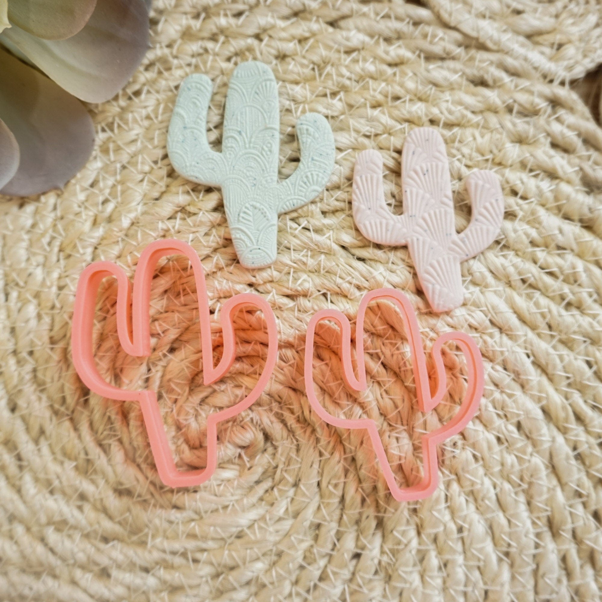 kitandco.com.au Cutter Cactus