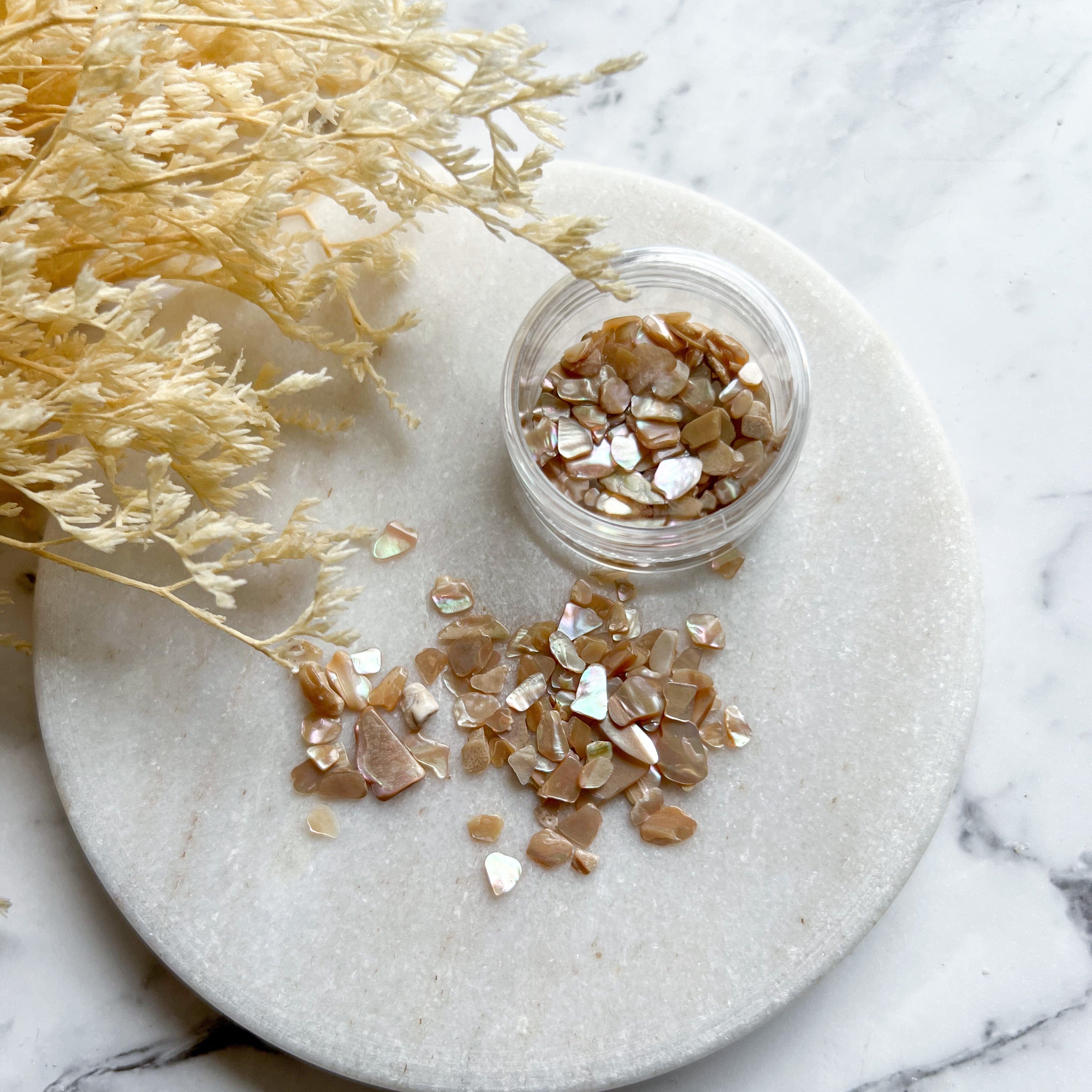 kitandco.com.au Foil Mother of Pearl Shell Chips - Latte