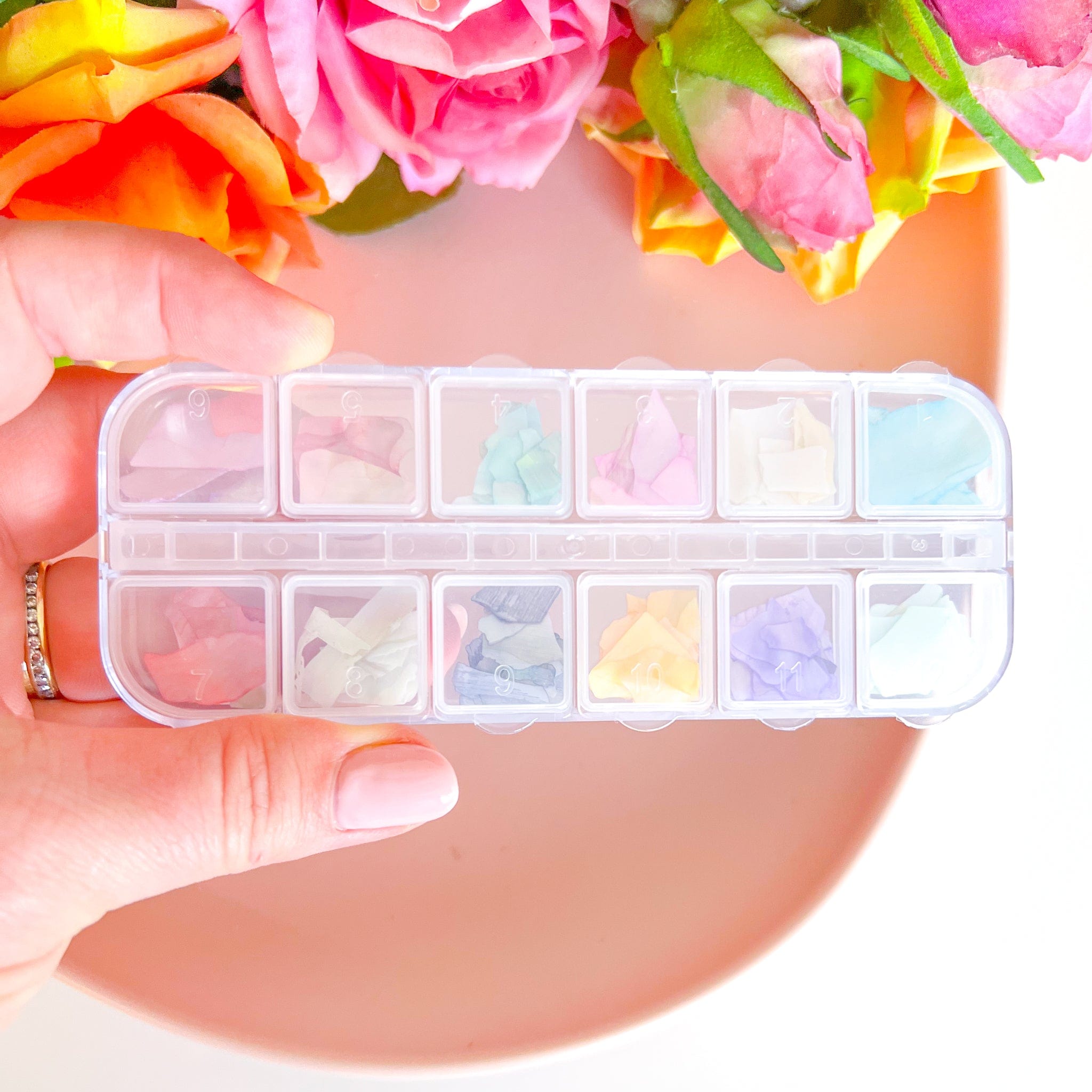 kitandco.com.au Foil Multicolour Shell Set - Large