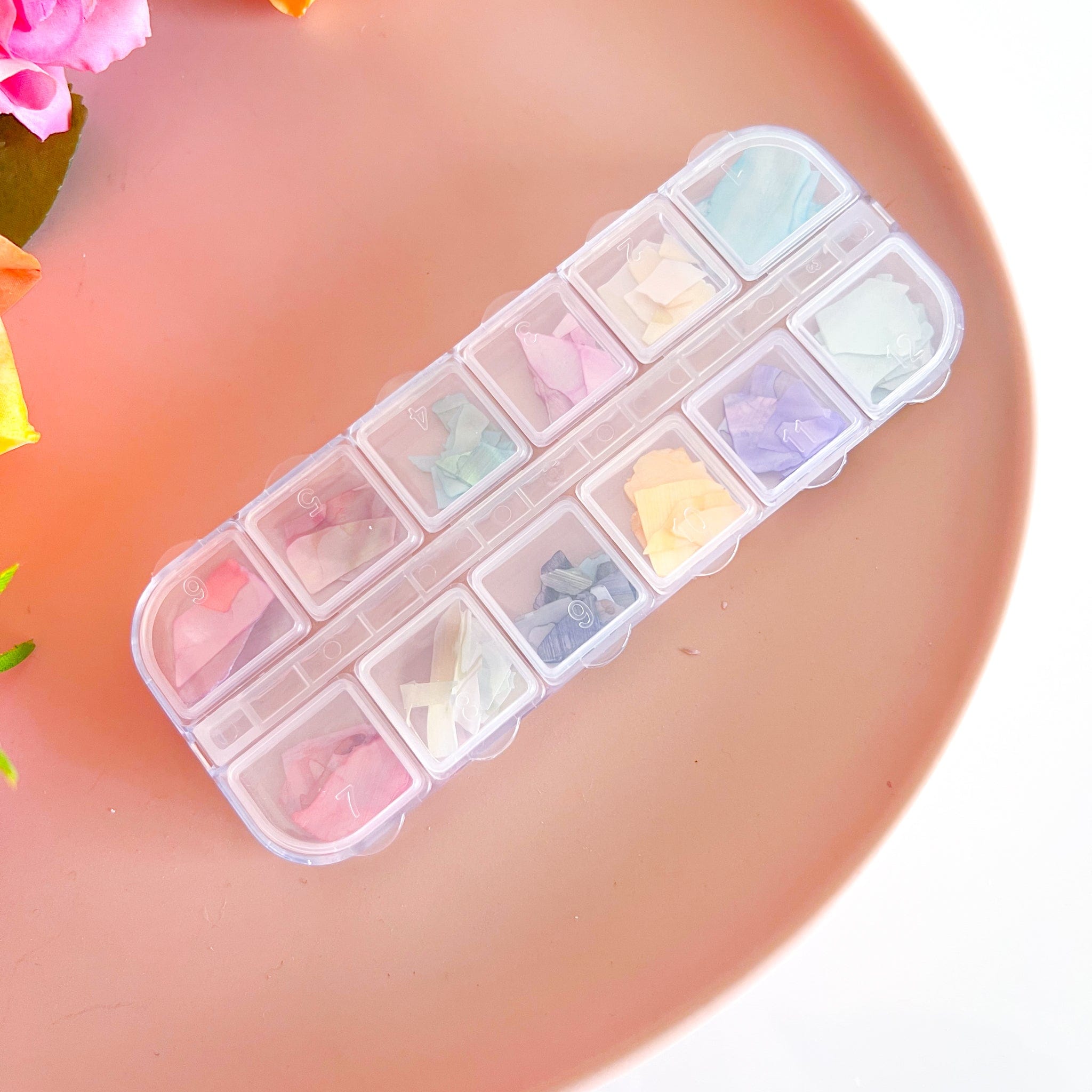 kitandco.com.au Foil Multicolour Shell Set - Large