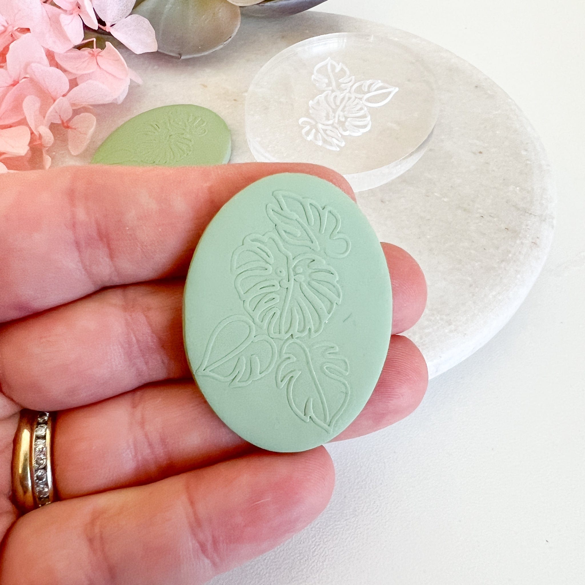 kitandco.com.au Stamp Monstera Vine - Texture Plate