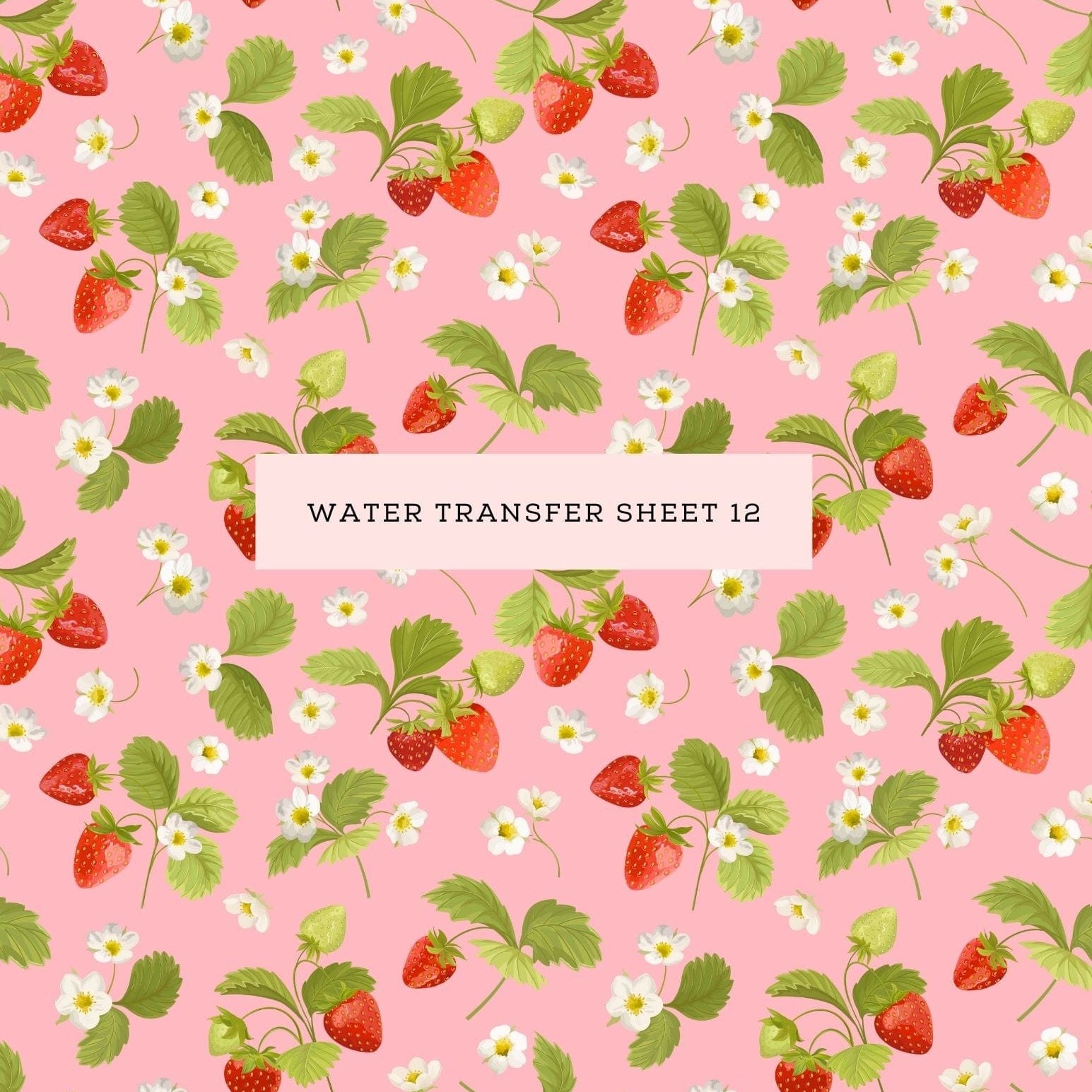 kitandco.com.au Water Transfer Water Transfer Sheet 12