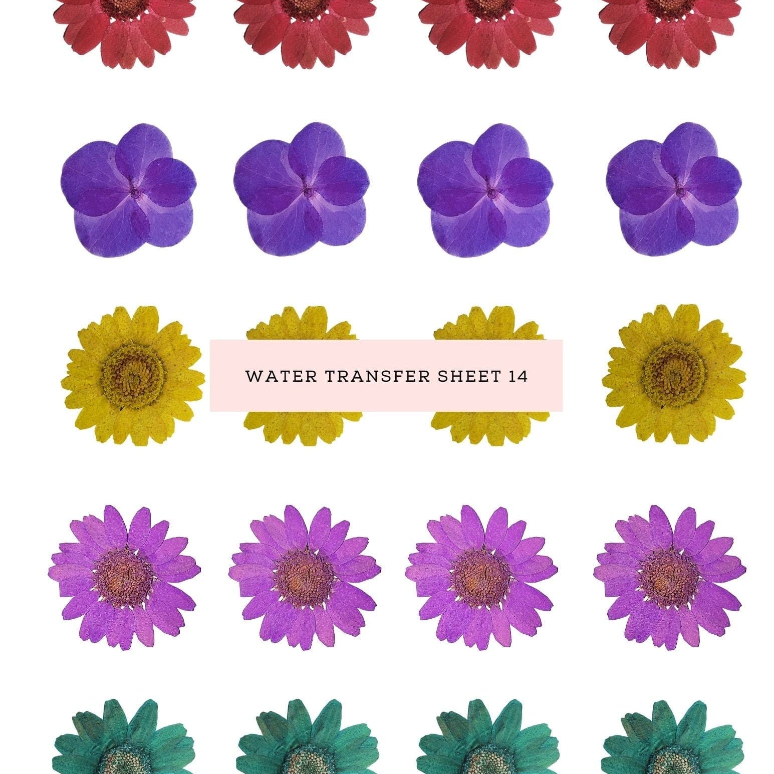 kitandco.com.au Water Transfer Water Transfer Sheet 14