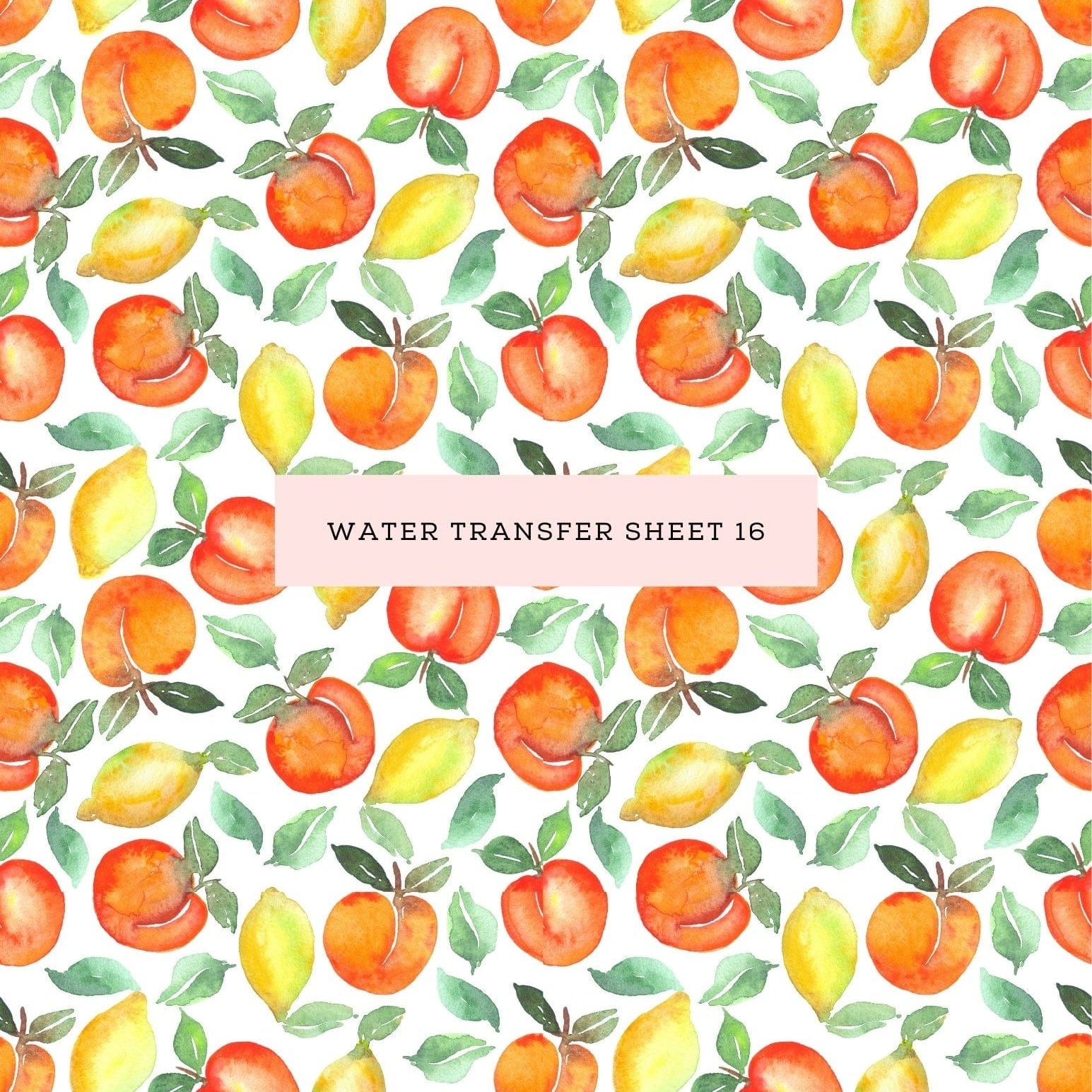 kitandco.com.au Water Transfer Water Transfer Sheet 16