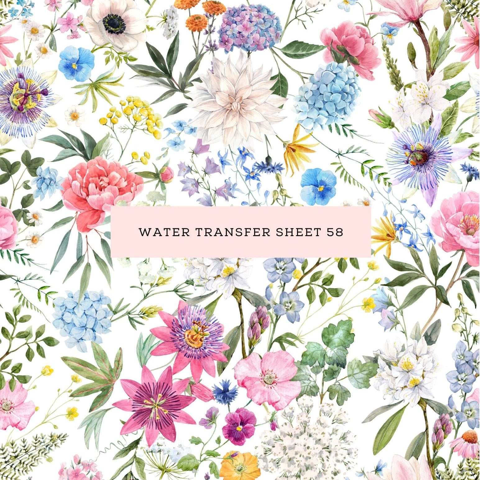 kitandco.com.au Water Transfer Water Transfer Sheet 58