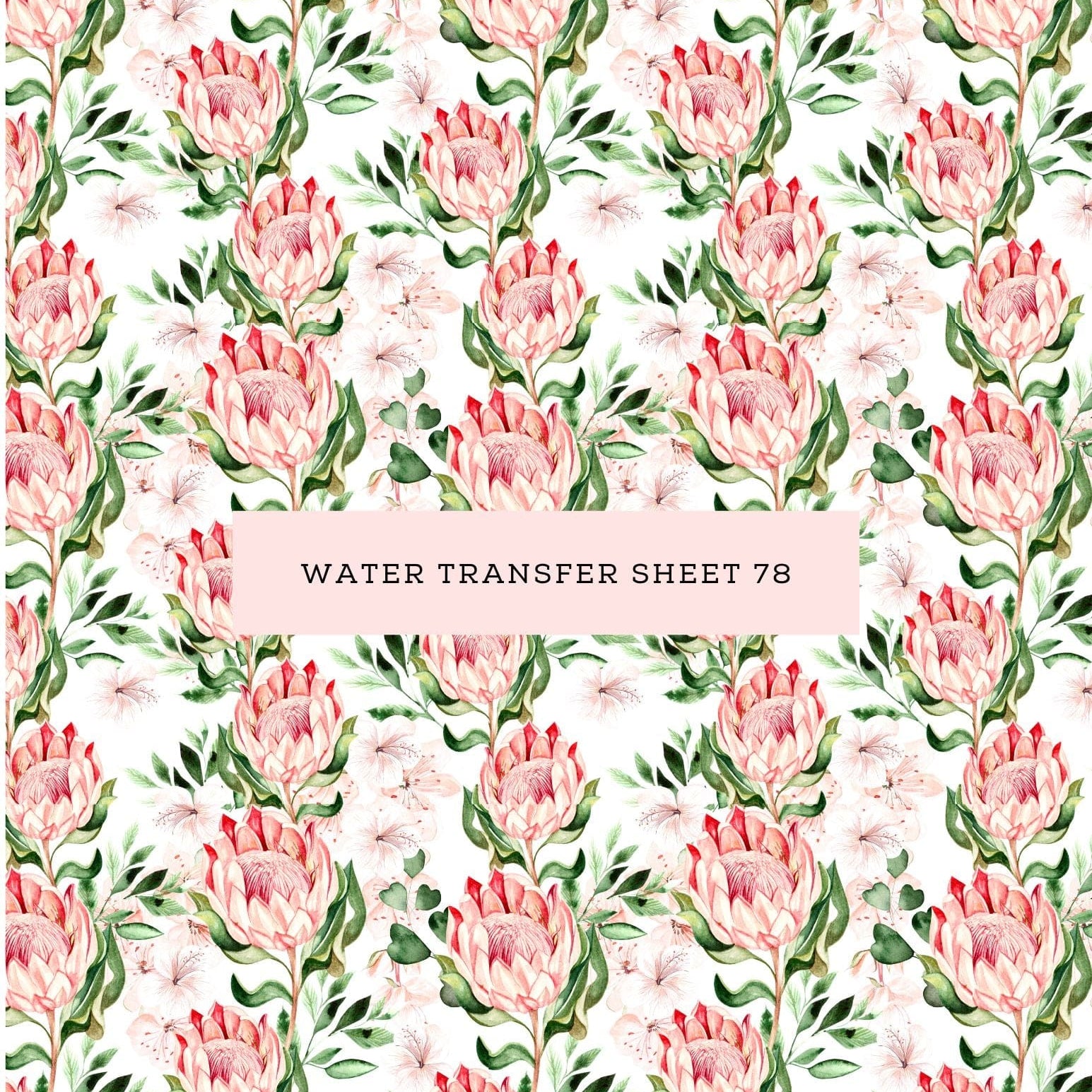 kitandco.com.au Water Transfer Water Transfer Sheet 78
