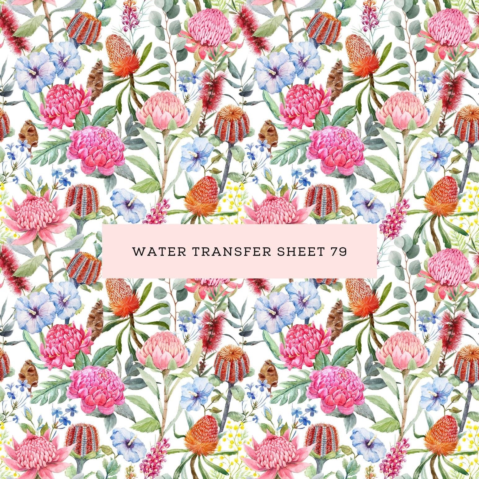 kitandco.com.au Water Transfer Water Transfer Sheet 79