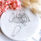 kitandco.com.au Cat Supplies Stainless Steel Kidney Hook - 50pcs