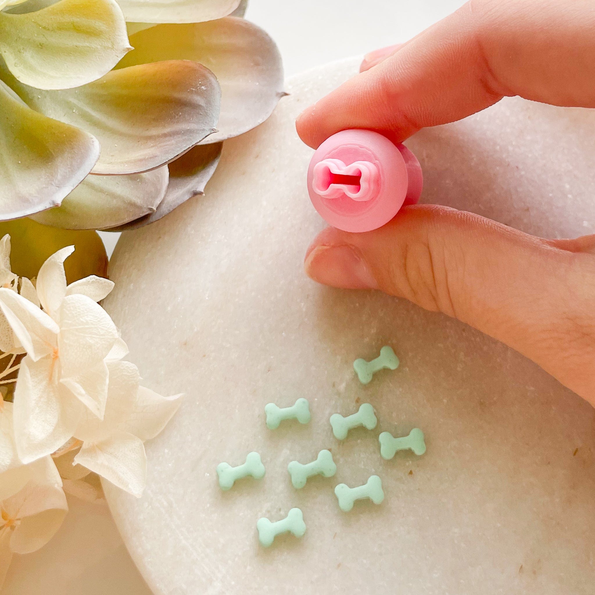 kitandco.com.au Cutter Bone - Micro Cutter