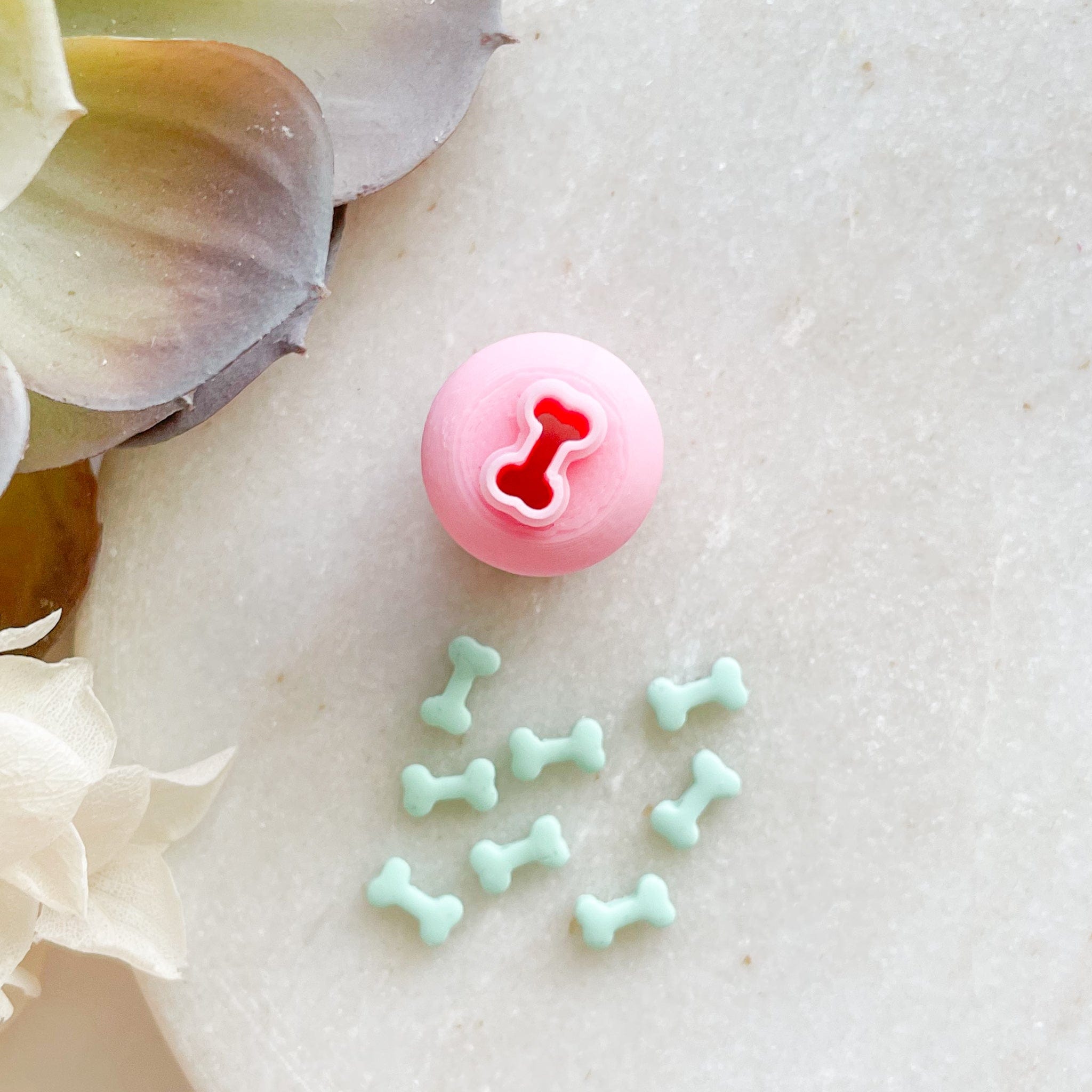 kitandco.com.au Cutter Bone - Micro Cutter