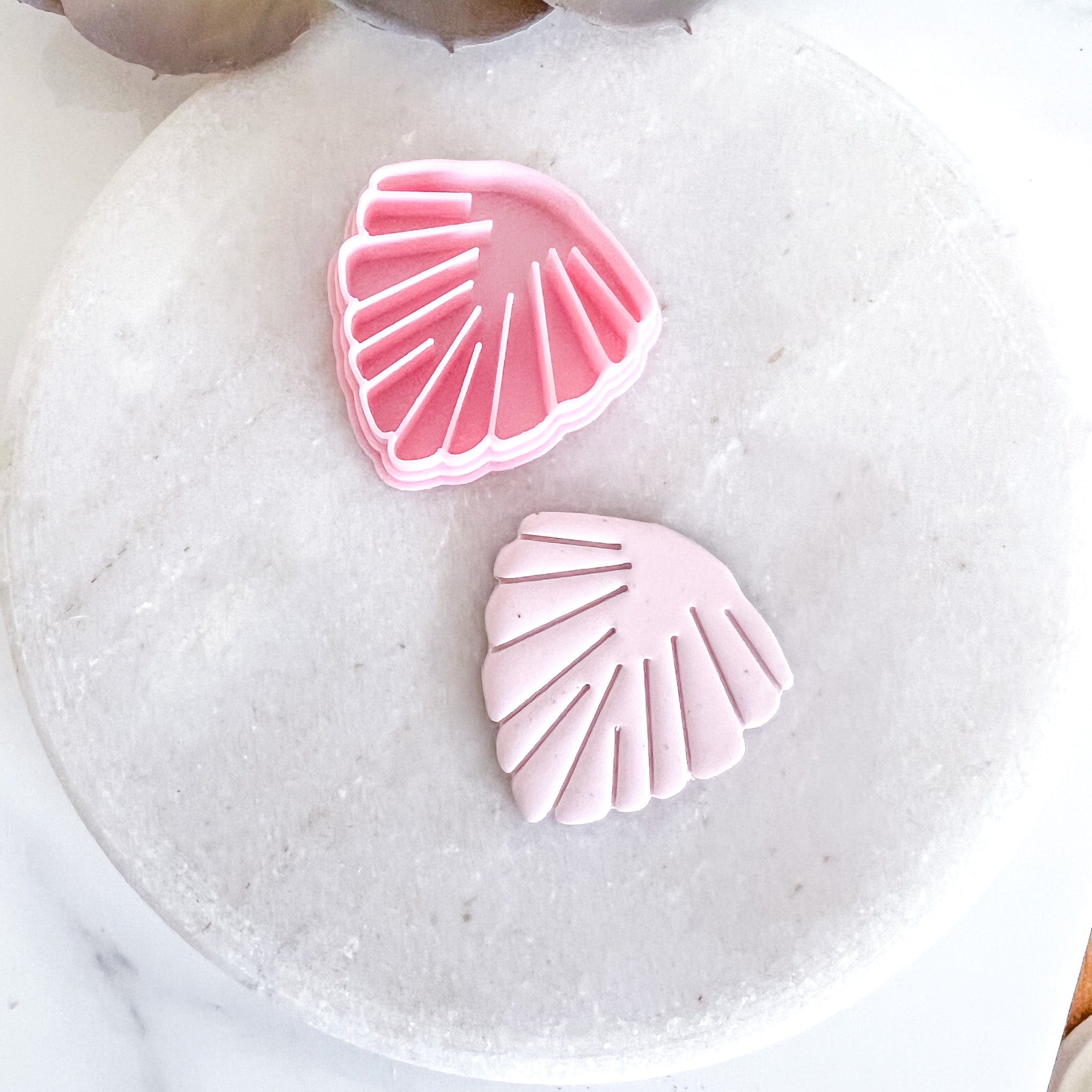 kitandco.com.au Cutter Fan Palm Cutter