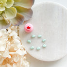 kitandco.com.au Cutter Pumpkin  - Micro Cutter