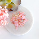 kitandco.com.au Foil Mother of Pearl  Chips - Pink