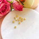 kitandco.com.au Gold Stamen #2 (20 pcs)