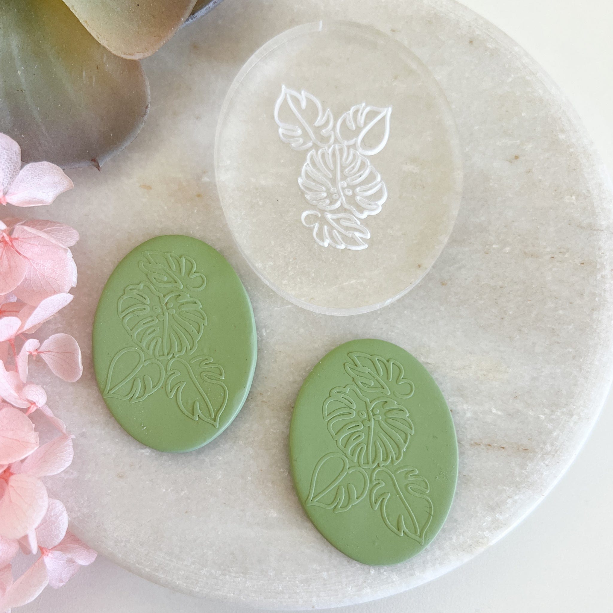 kitandco.com.au Stamp Monstera Vine - Texture Plate