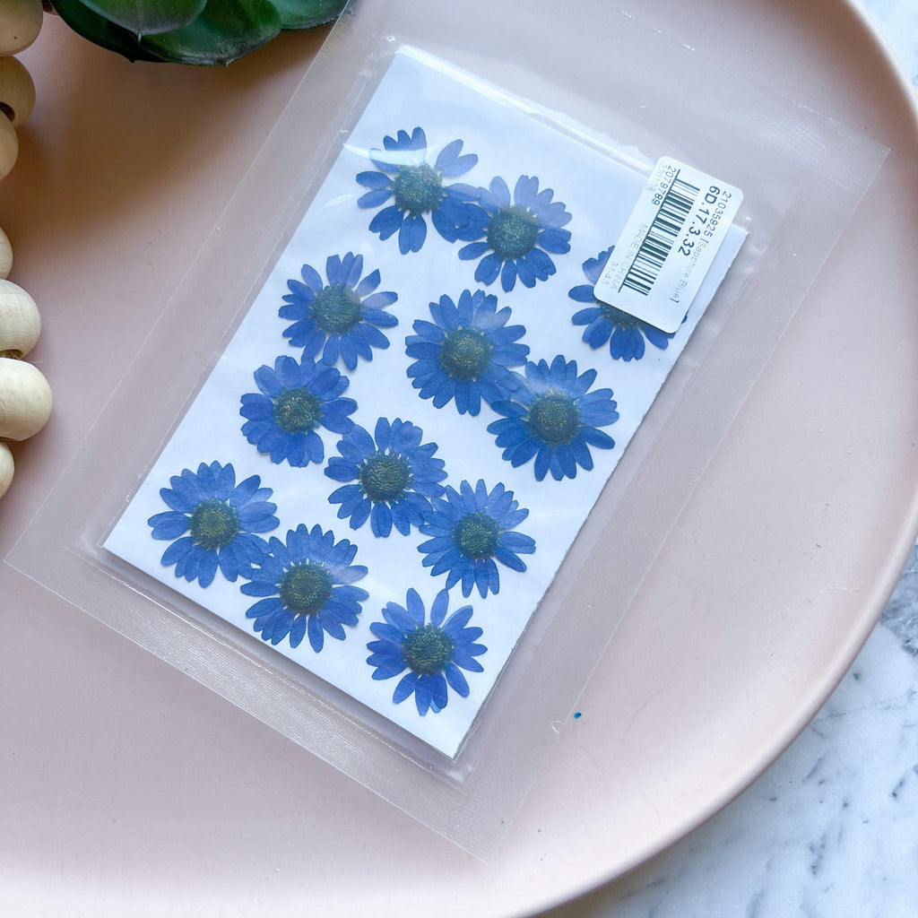 kitandco.com.au Tassel Royal Blue Pressed Flowers - Choose Colour 12 pcs