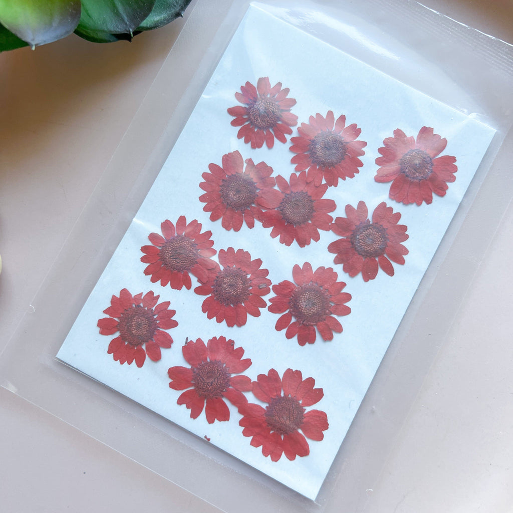 kitandco.com.au Tassel Red Pressed Flowers - Choose Colour 12 pcs
