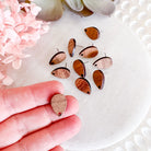 kitandco.com.au Tools "Pointed Teardrop" Wooden - Earring Post (10 pcs)