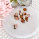 kitandco.com.au Tools "Pointed Teardrop" Wooden - Earring Post (10 pcs)