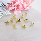 kitandco.com.au Tools Small Star Earring Post (10pcs)