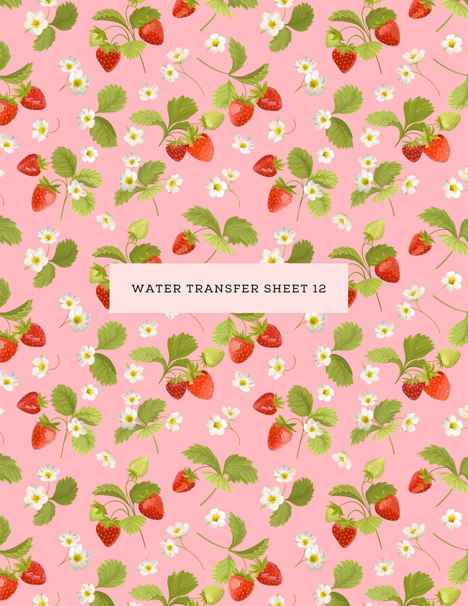 kitandco.com.au Water Transfer Water Transfer Sheet 12