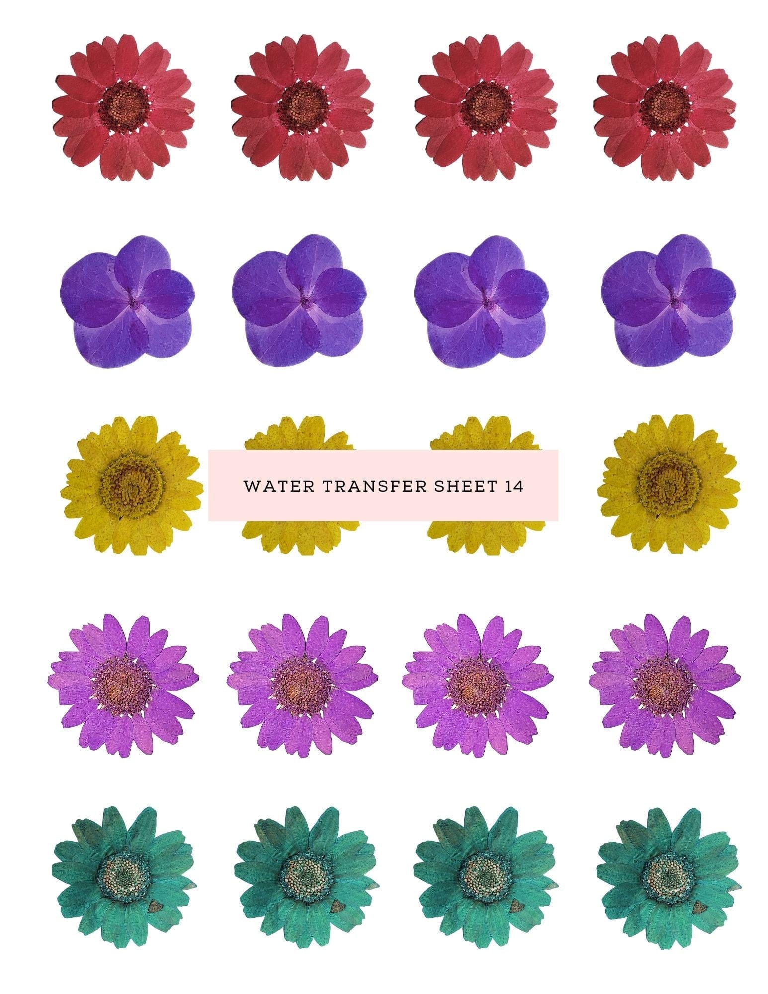 kitandco.com.au Water Transfer Water Transfer Sheet 14