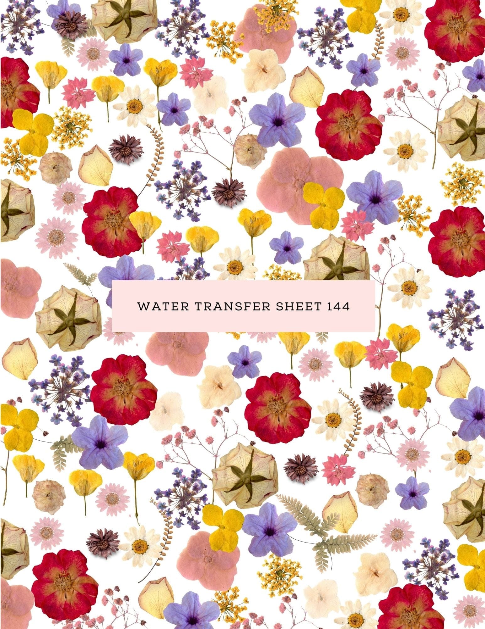 kitandco.com.au Water Transfer Water Transfer Sheet 144